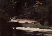 Homer, Winslow - Trout Breaking